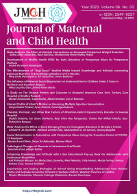 Image of Journal of Maternal and Child Health Vol. 8 No. 3 Tahun 2023